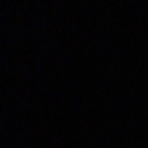 Meet your Posher, Patti